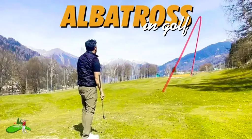 Albatross in golf featured Image